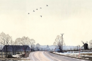 Reproducerad akvarell/giclée - Grågäss över Köpingsvik